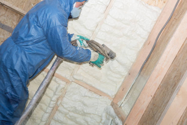 Best Thermal Imaging for Insulation Gaps  in Lavallette, NJ